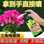 【臺灣出貨】三角梅專用營養液 九重葛 三角梅爆花液 三葉梅開花專用肥料 花卉 促花 爆花 臘梅 通用 營養液 有機肥