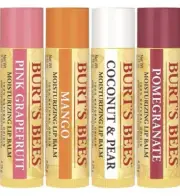 Burt’s Bees Lip Balm Set Of 4