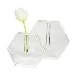 Tizo Crystal Clear Hexagon Flat Vase, Large