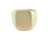 Signet Ring Adjustable Blank - raw brass (19mm 9US inner size - Adjustable )3404