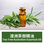 【馥靖精油】澳洲茶樹精油 TEA TREE ESSENTIAL OIL