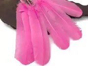 6 Pieces - Pink Turkey Rounds Secondary Large Wing Quill Feathers Craft Supply