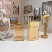 Chic 1996 Floral 100ml-3.4oz Women's Perfume for Allure Lovers