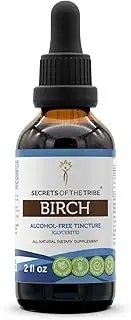 Birch Tincture Alcohol-Free Liquid Extract, Organic Birch (Betula Pendula) Dried Leaf (2 FL OZ)