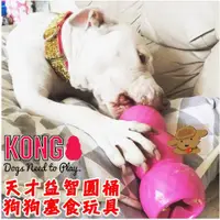 在飛比找ETMall東森購物網優惠-美國Kong天才達芬奇 米開朗基羅 貓狗寵物橡膠漏食填充益智