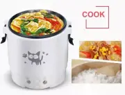 Travel-Friendly 1L Rice Cooker: 12V Electric Lunch Box with Keep Warm Function