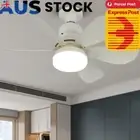 40W 20 in LED Fan Lamp Indoor Ceiling Fan Noiseless with Remote Control & Timer