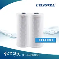 在飛比找蝦皮商城優惠-EVERPOLL 傳家寶全戶濾淨專用濾心 FH-030/FH