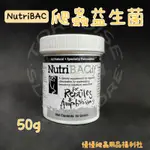 《慢慢爬》美國 NUTRIBAC 爬蟲益生菌原裝 50G 益生菌 爬蟲 BAC 陸龜 蜥蜴 澤龜 守宮 角蛙 腸胃 兩棲