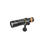 游龍潛水●ORCATORCH D530V +SNOOT (含球頭燈夾) 充電式潛水燈  潛水手電筒潛水攝影燈 水攝燈