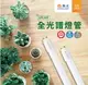 【燈王的店】舞光T8 LED 2尺 9W / 4尺 18W 全光譜.紅藍光譜植物燈管 植物專用 LED-T818 T89