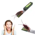 April Fool's Day Prank Toy Trick Cockroach Chewing Jokes Funny Gum Toys Kid A2G4