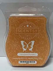 Farmstand Pumpkin Scentsy Bar Wickless Candle Tart Warmer Wax 8 Squares