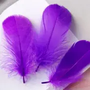 100 Pieces Purple Natural Goose Craft Feathers Bulk, Colorful Small Goose Feathe