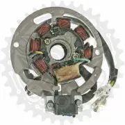 New Stator Fits Tauris Samba 50 2T Safari