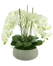 Creative Displays White Orchid Arrangement In A Round Planter