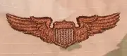 US Air Force Basic Pilot Badge OCP Sew-On USAF