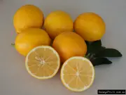 Buy Dwarf Lemon Meyer Fruit Trees in Australia (Citrus limon)