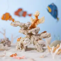 在飛比找ETMall東森購物網優惠-珊瑚礁小魚缸小魚缸觀賞魚缸造景裝飾品水底沉水套餐擺件大全圓形