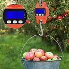 Mini Portable Crane Scale 500kg 0.1kg LCD Hook Hanging Scale Digital Electronic⎒