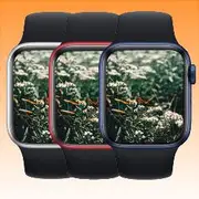 Apple Watch Series 6 (40MM)
