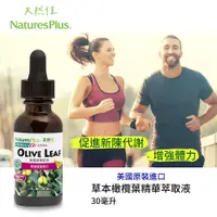 在飛比找松果購物優惠-美國NaturesPlus 天然佳 草本橄欖葉精華萃取液 (