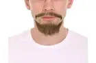 Men's Goatee Style Beard Set | Brown Cosplay Facial Hair M-1173