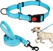 Martingale Dog Collar and Leash Set Martingale Collars for Dogs Reflective Martingale Collar for Small Medium Large Dogs(Sky Blue&S)