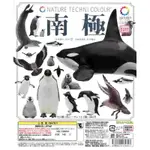 奇譚俱樂部 KITAN 南極 全套含隱藏 全新 轉蛋 扭蛋 模型 小企鵝 海豹 全8款 企鵝