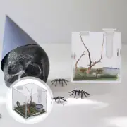 Jumping Spider Breeding Box Reptile Tank Accessories Carrier Baby