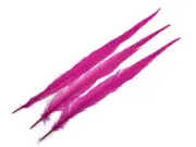 10 Pieces - 18-22" Hot Pink Bleached & Dyed Long Ringneck Pheasant Tail Feathers