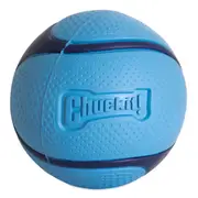 Chuckit Sniff Fetch Ball Medium Bacon Dog Toy