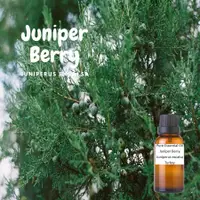 在飛比找蝦皮購物優惠-100%-西蠟杜松漿果純精油Juniper Berry-Pu