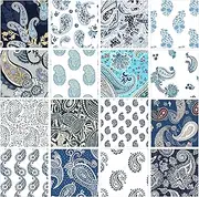 Soimoi 16 Pc Fat Quarter Bundle, Paisley Print 18"x 22" DIY Patchwork- 100% Cotton Pre-Cut Quilting Fabric Blue & White