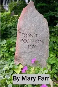 在飛比找博客來優惠-Don’’t Postpone Joy