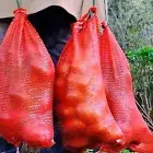 Mesh Bag for Harvesting Mesh Bag Produce Mesh Onion Produce Bags Storage Set