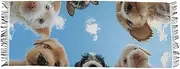 [AIXIWAWA] Close Dogs Women's Pashminas Scarf, Shawls Wrap Lightwight Tassel for Evening Dress Dinner Party, Multicolor