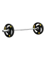 [Everfit] Barbells Set 16kg 120cm in Silver
