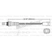 PAT Oxygen Sensor - EGO-198