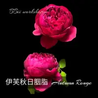 在飛比找蝦皮購物優惠-伊芙秋日胭脂  Autumn Rouge 玫瑰花 / 6吋盆