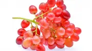 Buy Grape Crimson Seedless Vines (Vitis vinifera)