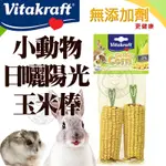 📣長備貨🚀》VITAKRAFT VITA 25089 小動物日曬陽光玉米棒2支入 倉鼠磨牙棒/倉鼠玉米/黃金鼠