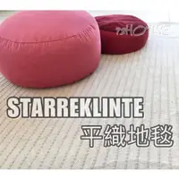 在飛比找蝦皮購物優惠-IKEA代購 STARREKLINTE 平織地毯 自然色/淺