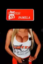 Hooters Uniform Pamela Name Tag Pin Back Dress Up Role Play Costume Accessory