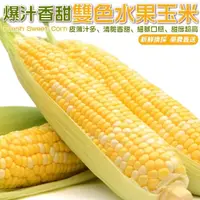 在飛比找momo購物網優惠-【WANG 蔬果】雙色水果玉米15斤x1箱(農民直配)
