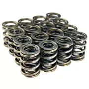 BLOX Racing Set of 16 Valve Springs for Honda K-Series DOHC iVTEC K20 K24