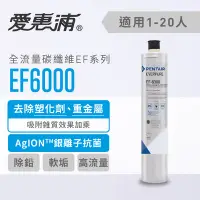 在飛比找Yahoo!奇摩拍賣優惠-北台灣竹北店 愛惠浦 EVERPURE 公司貨 有雷標 EF