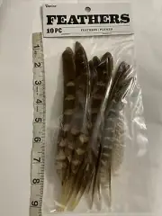 10 Feathers RINGNECK PHEASANT Natural Feathers 8" Halloween/Hats/Costume
