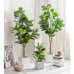 北歐INS仿真植物琴葉榕仿生綠植大型盆栽擺件客廳室內裝飾假植物