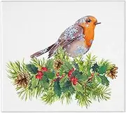 RHAIYAN Dish Drying Mat Compatible with Kitchen Drainer Robin Bird in Snow Flakes Microfiber Cushion Pad Dinnerware Specific